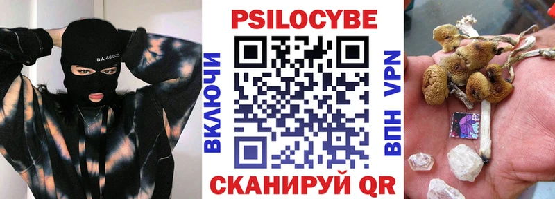где можно купить наркотик  Макушино  Псилоцибиновые грибы мицелий 